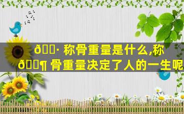 🌷 称骨重量是什么,称 🐶 骨重量决定了人的一生呢